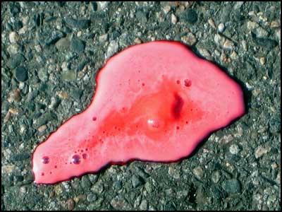 Splat!