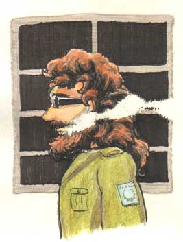 guy with lots of hair